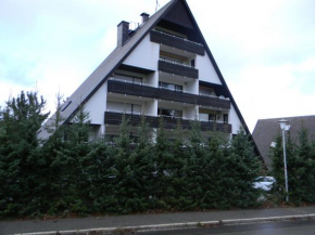 Schönwald Schwarzwaldhäuser Apartment 7